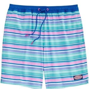 Vineyard Striped Men's Swim Shorts - Blue and Green